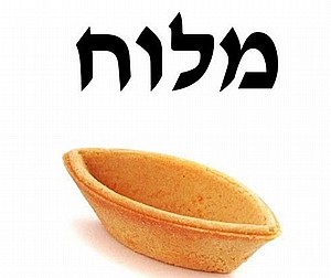 טארט סירה מלוח טארט סירה מלוח