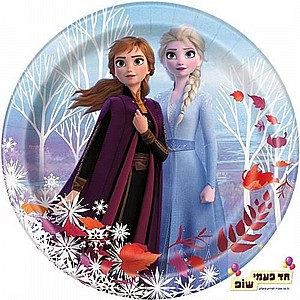 צלחת פרוזן גדולה (8 י"ח) צלחת פרוזן גדולה (8 י"ח)