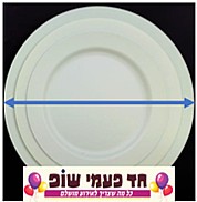 צלחת אורבניק מנטה 10 יחידות , גודל 10 צלחת אורבניק מנטה 10 יחידות , גודל 10