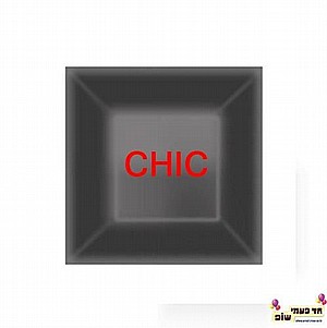 צלחת שיק שחור קטנה צלחת שיק שחור קטנה