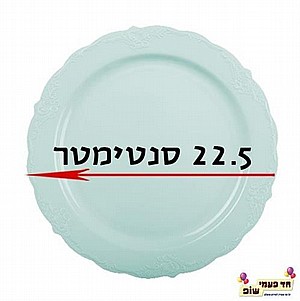 צלחת וינטג' בינונית מנטה צלחת וינטג' בינונית מנטה