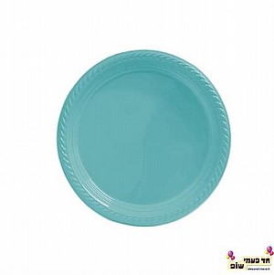 צלחת 7 תכלת צלחת 7 תכלת