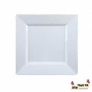 צלחת קנה סוכר מרובעת בינונית צלחת קנה סוכר מרובעת בינונית