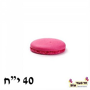 מיני מקרון ורוד מיני מקרון ורוד