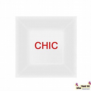 צלחת שיק שקוף בינונית צלחת שיק שקוף בינונית