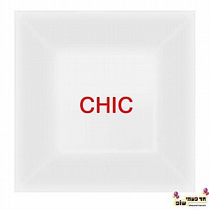 צלחת שיק שקוף ענק צלחת שיק שקוף ענק