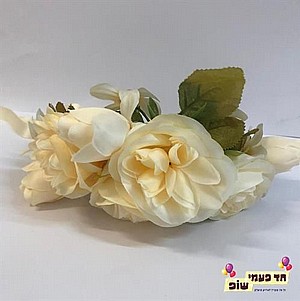 æø ÷øí æø ÷øí