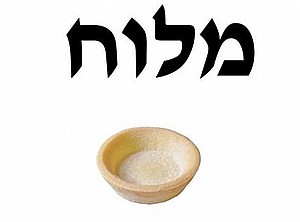 טארט עגול גדול מלוח טארט עגול גדול מלוח