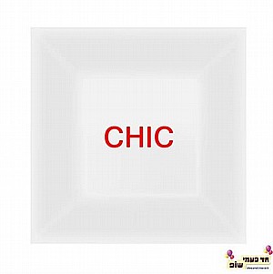 צלחת שיק שקוף גדול צלחת שיק שקוף גדול